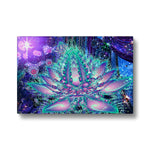 Beautifica Lotus Eco Canvas